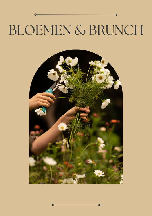 BLOEMEN & BRUNCH